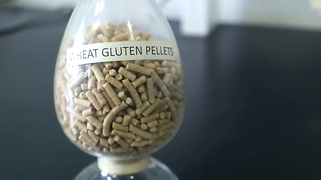Vital Wheat Gluten pellets