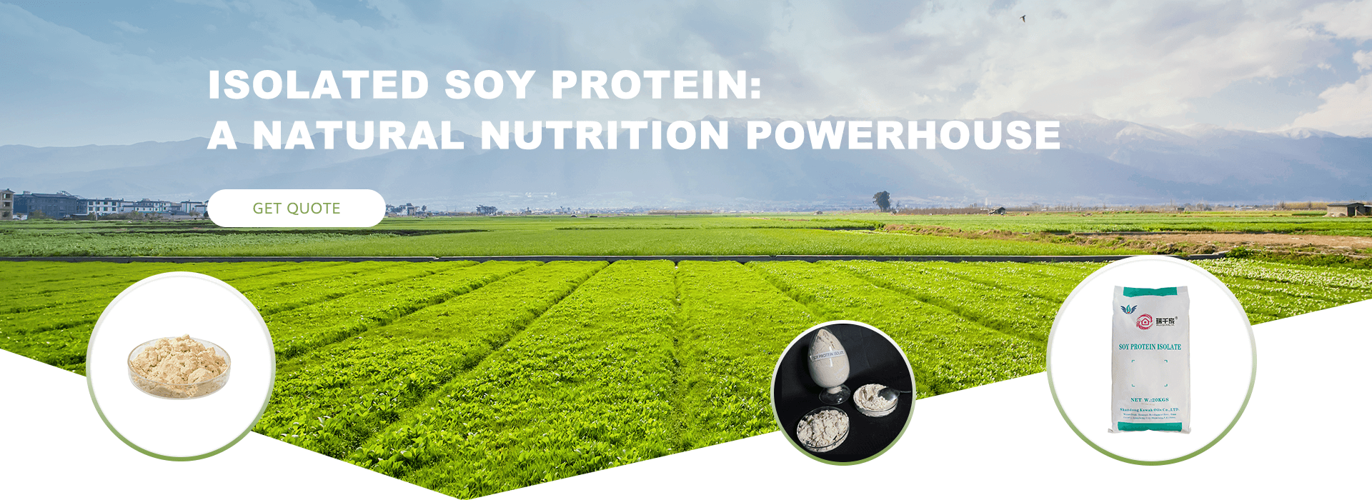  NATURAL NUTRITION POWERHOUSE ISOLATED SOY PROTEIN