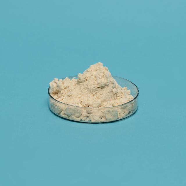 Isolated Soy Protein-Dispersion Type (NON-GMO) 