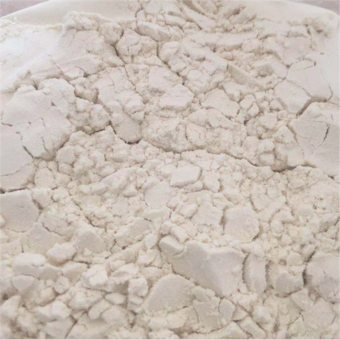 Isolated soy protein1.png