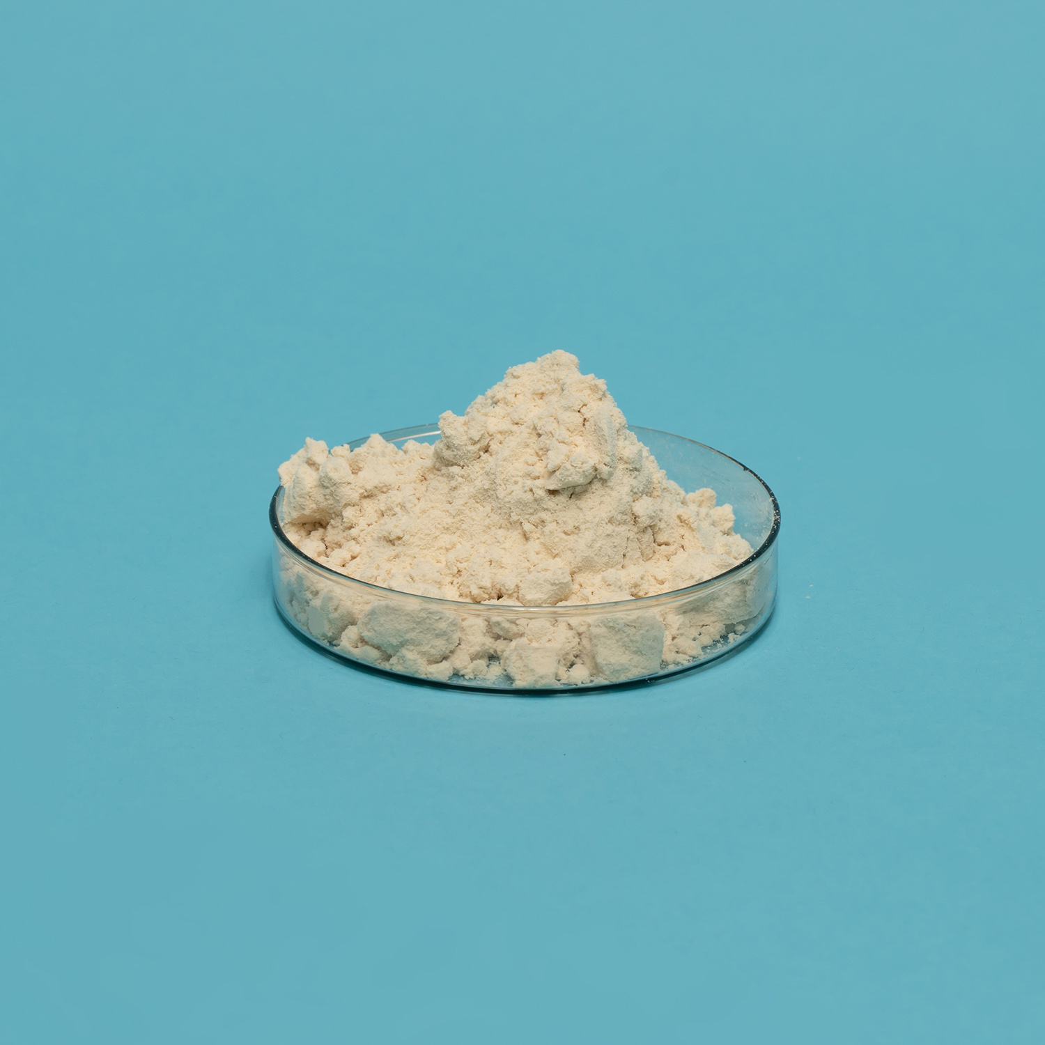 Soy Protein Isolate Evaluation