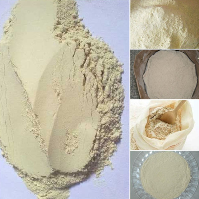What are the characteristics of hydrolyzed wheat protein